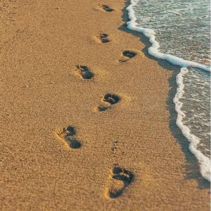 footprint